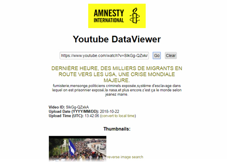 Amnesty International Youtube DataViewer