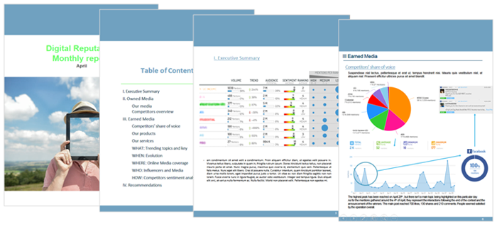 Extrait d'un rapport d'analyse Social Media mensuel