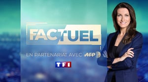 Factuel TF1