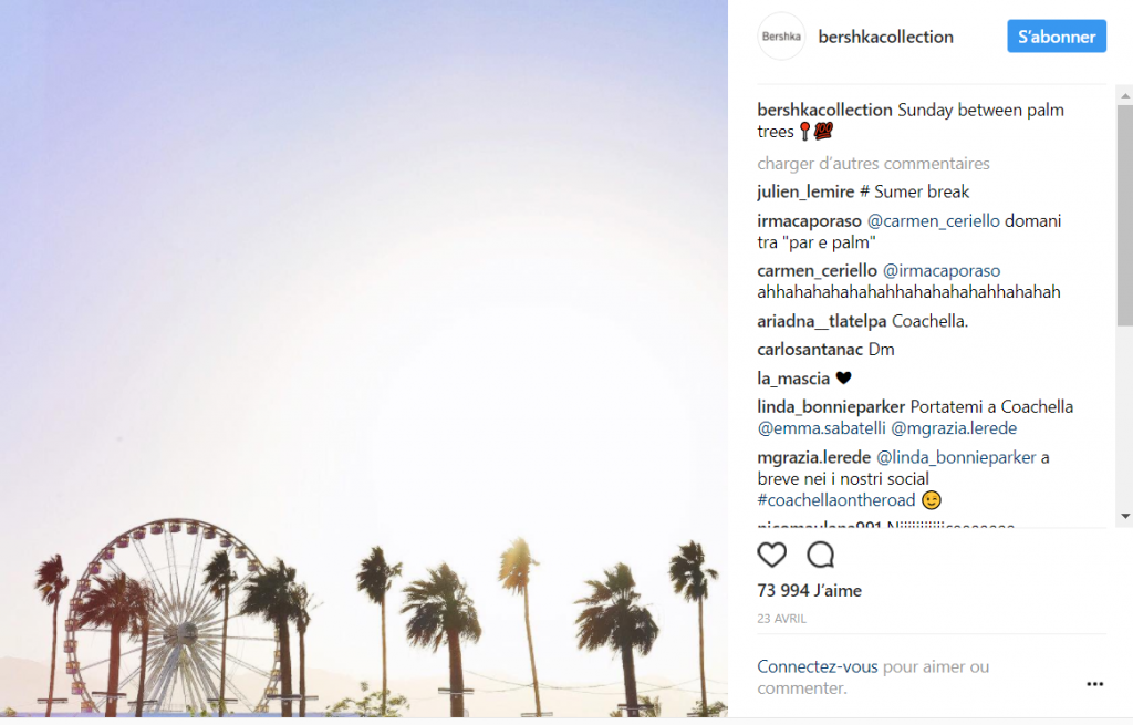 imagen de palmeras en Coachella de instagram 