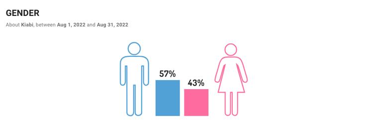 digimind-graph-gender