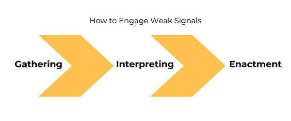 How to Engage Weak Signals: Gathering Signals, Interpreting Signals and Enactment of Signals